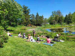 Meditation in the park